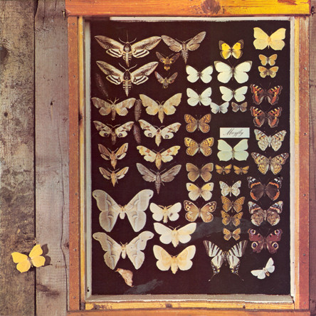 Mayfly (2) - Mayfly (LP, Album)