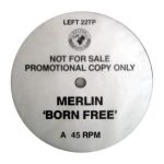 Merlin - Born Free (12", Promo)