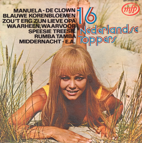 Various - 16 Nederlandse Toppers (LP, Album)