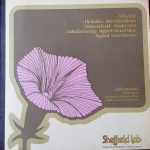 Richard Wagner – Erich Leinsdorf, Los Angeles Philharmonic Orchestra - Die Walküre: Ride Of The Valkyries / Tristan Und Isolde: Prelude To Act I / Götterdämmerung: Siegfried’s Funeral Music / Siegfried: Forest Murmurs (LP, Ltd, Dir)