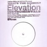 Carlos Niño & Lil' Sci Present What's The Science? - Elevation Instrumentals (LP, Album)