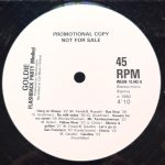 Goldie (46) - Flashback Party (Medley) (12", Promo)