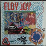 Floy Joy - Burn Down A Rhythm (12")