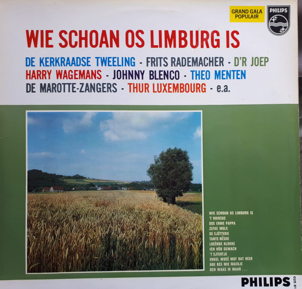 Various - Wie Schoan Os Limburg Is (LP, Mono)