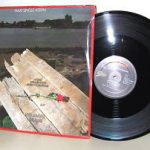 The Flaming Mussolinis - Swallow Glass (12")