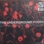 The Underground Youth - The Falling (LP, Album, Ltd, Red)