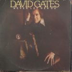 David Gates - Never Let Her Go (LP, Album, Ter)