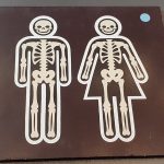 The Shit - Dingleberry Fields Forever (CD, Album, Dig)