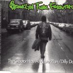 Brooklyn Funk Essentials - The Creator Has A Master Plan / Dilly Dally (CD, Single)