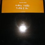 Soul For Real - Every Little Thing I Do (Dudearella Mix)  (12", S/Sided, Promo)