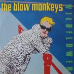 The Blow Monkeys - Wildflower (12", Single)