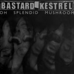 Bastard Kestrel - Oh Splendid Mushroom (LP, Album)