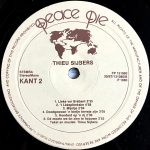 Thieu Sijbers m.m.v. Dommelvolk - Speulenderwijs (LP, Album) - Afbeelding 4