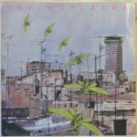 Psychoplasma - Radio Flies (LP)