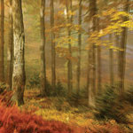 People Of The North - Deep Tissue (LP)