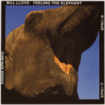 Bill Lloyd (3) - Feeling The Elephant (LP, Album)