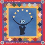 Charlie Peacock - Lie Down In The Grass (LP, Album)