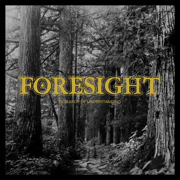 Foresight (5) - In Search Of Understanding (LP)