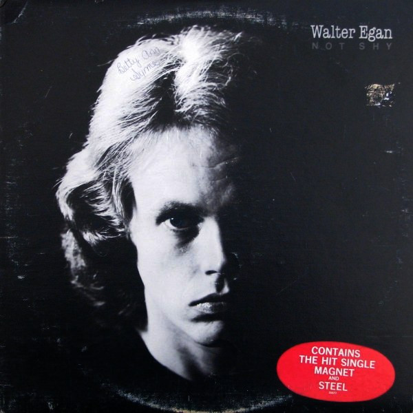 Walter Egan - Not Shy (LP, Album)