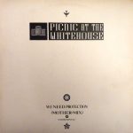 Picnic At The Whitehouse - We Need Protection (Mother Mix) (2x12", Maxi, Promo, W/Lbl, Gat)