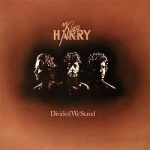 King Harry - Divided We Stand (LP, Album)