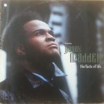 Danny Madden - The Facts Of Life (12")