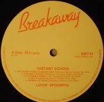 The Lovin' Spoonful - Distant Echoes (LP, Comp) - Afbeelding 4