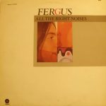 Fergus Hambleton - All The Right Noises (LP, Album)