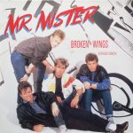 Mr. Mister - Broken Wings (Extended Version) (12", Single)