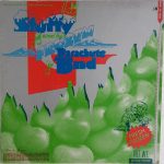 Stuffy And His Frozen Parachute Band - Stuffy And His Frozen Parachute Band (LP)