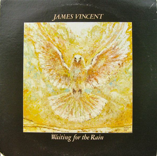 James Vincent - Waiting For The Rain (LP, Album)