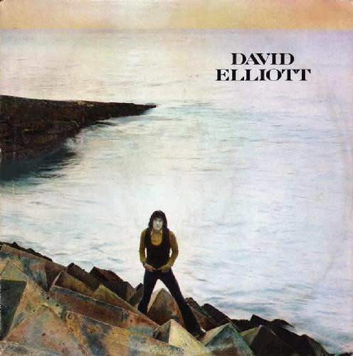 David Elliott (6) - David Elliott (LP, Album)