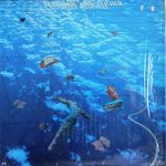 Ferrante & Teicher - Salute Nashville (LP, Album)