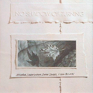 Jeff Johnson, Sandy Simpson, Dieter Zander & Kathy McClatchy - No Shadow Of Turning (LP, Album)
