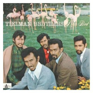 Tielman Brothers - Little Bird (LP)