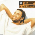 Shaggy Featuring Rayvon - In The Summertime (CD, Maxi)