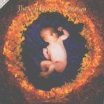 The Cranberries - Salvation (CD, Single)