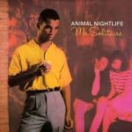 Animal Nightlife - Mr Solitaire (12")