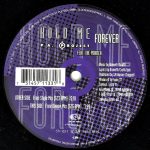 P.A. Project Featuring The Pointer - Hold Me Forever (12")