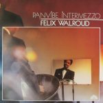 Felix Walroud - Panvibe Intermezzo (LP)