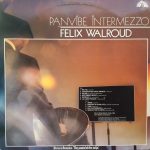 Felix Walroud - Panvibe Intermezzo (LP) - Afbeelding 2