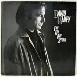 David Olney - Eye Of The Storm (LP, Album)