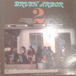 Brush Arbor - 2 (LP)