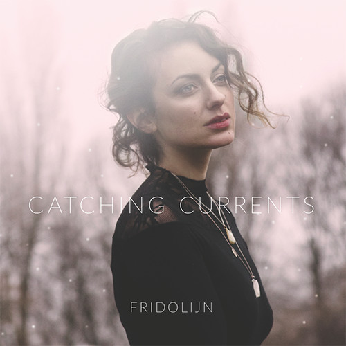Fridolijn van Poll - Catching Currents (LP, Album)