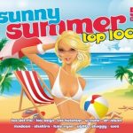 Various - Sunny Summer Top 100 (5xCD, Comp)