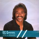 G.C. Cameron - It's A Shame (12", Single)