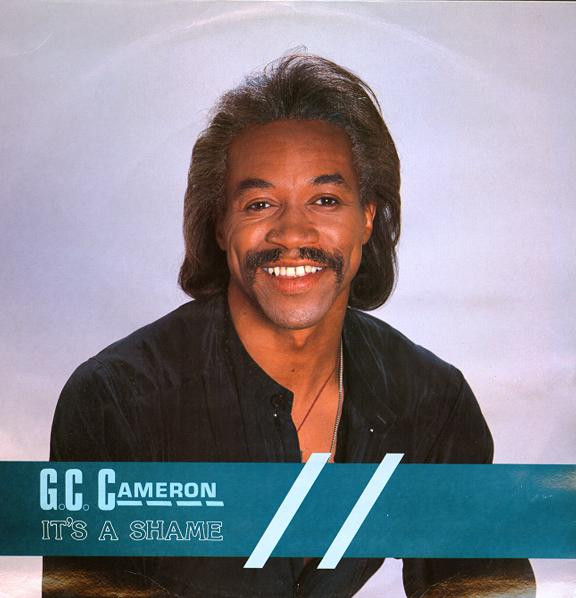 G.C. Cameron - It's A Shame (12", Single)