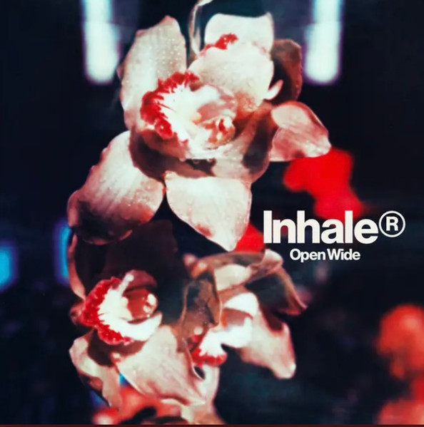 Inhaler (12) - Open Wide (LP, Album)