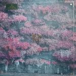 Sleep Token - Even In Arcadia (2xLP, Album, Ltd, S/Edition, Gol)