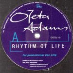 Oleta Adams - Rhythm Of Life (12", Promo)